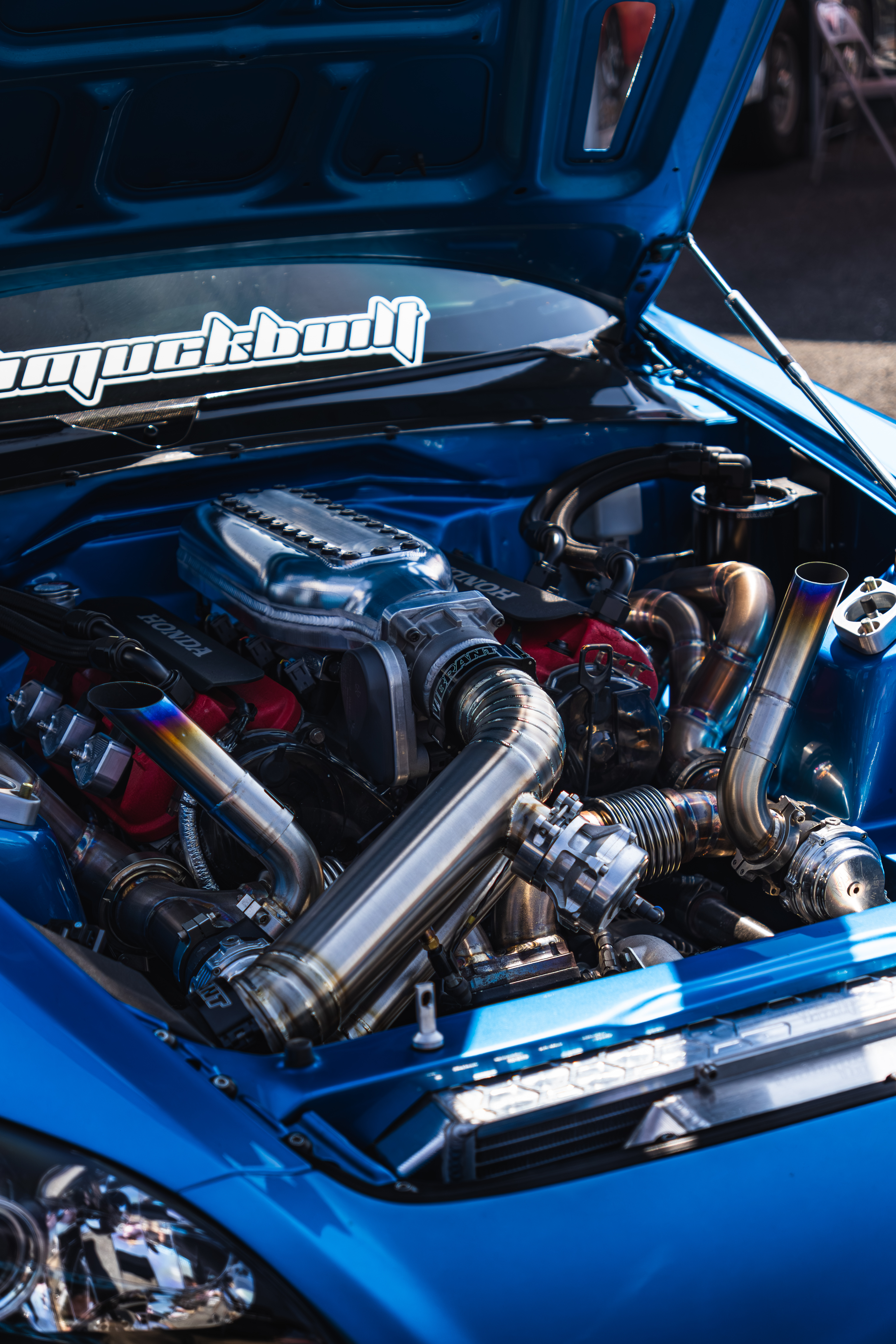 details-and-portraits